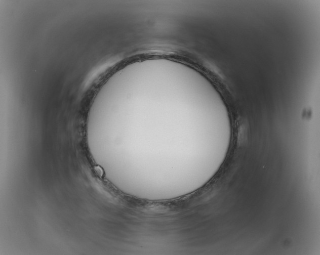 X0000111781448200908131337