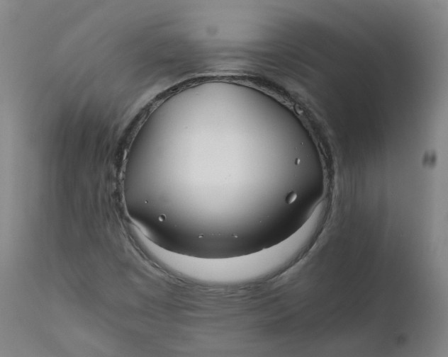 X0000111781449200908131337