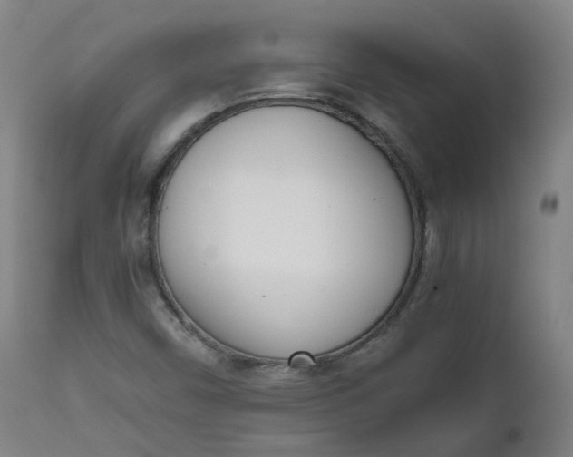 X0000111781450200908131337