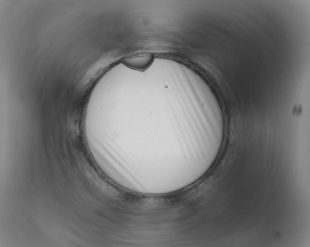 X0000111781451200908131337