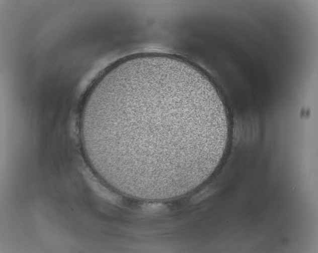 X0000111781454200908131337