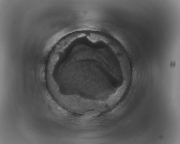 X0000111781455200908131337
