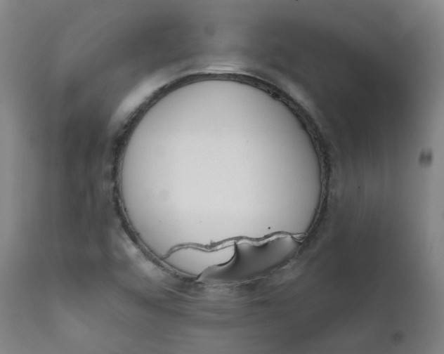 X0000111781456200908131337