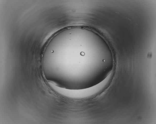 X0000111781457200908131337