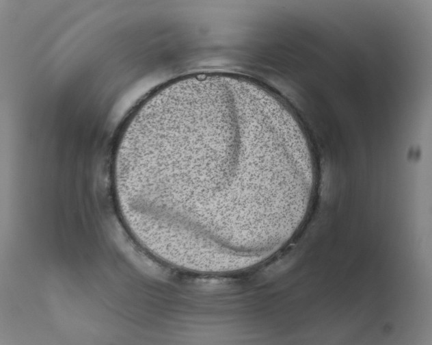 X0000111781458200908131337
