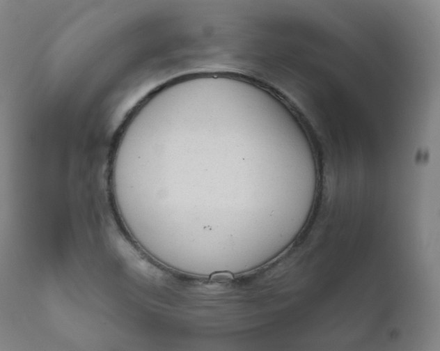 X0000111781460200908131337