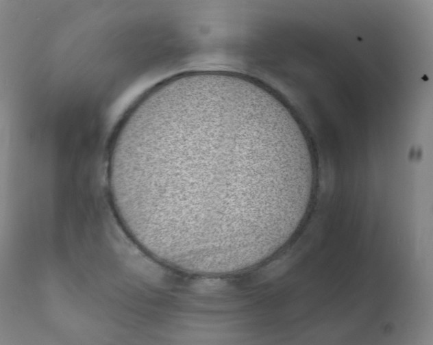 X0000111781462200908131337