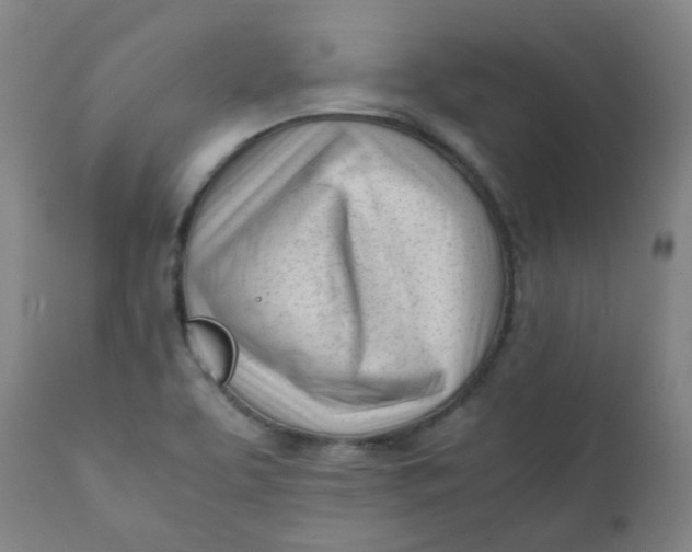 X0000111781463200908131337