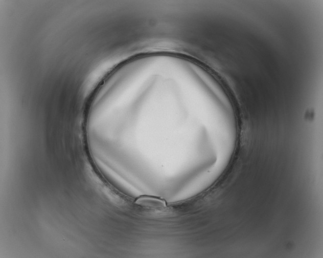X0000111781464200908131337
