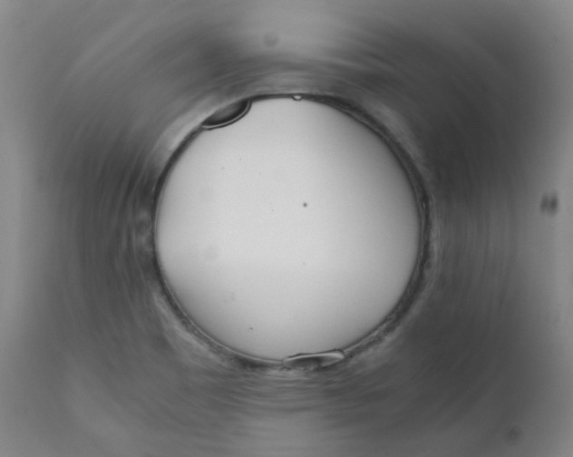 X0000111781465200908131337