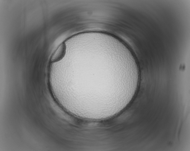 X0000111781467200908131337