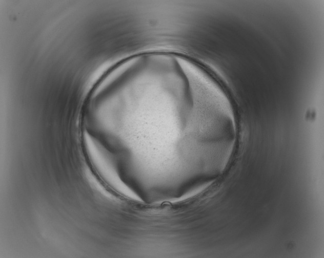 X0000111781468200908131337