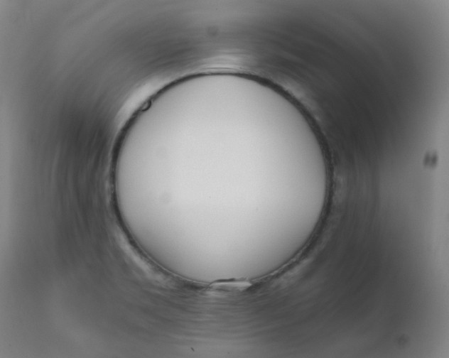 X0000111781469200908131337