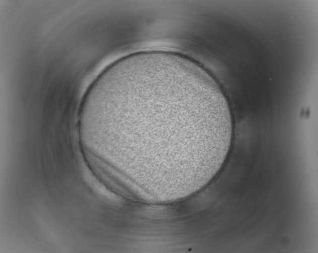 X0000111781470200908131337