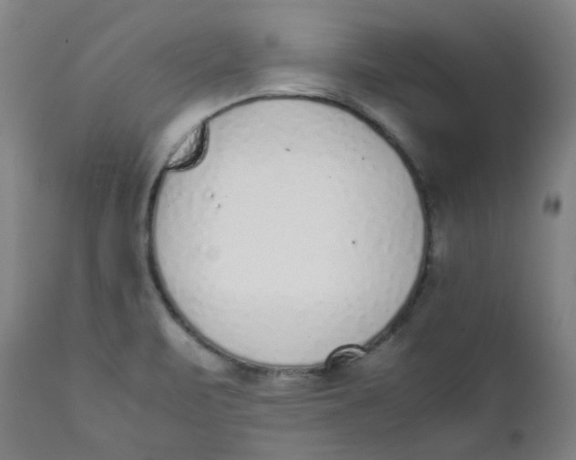 X0000111781471200908131337