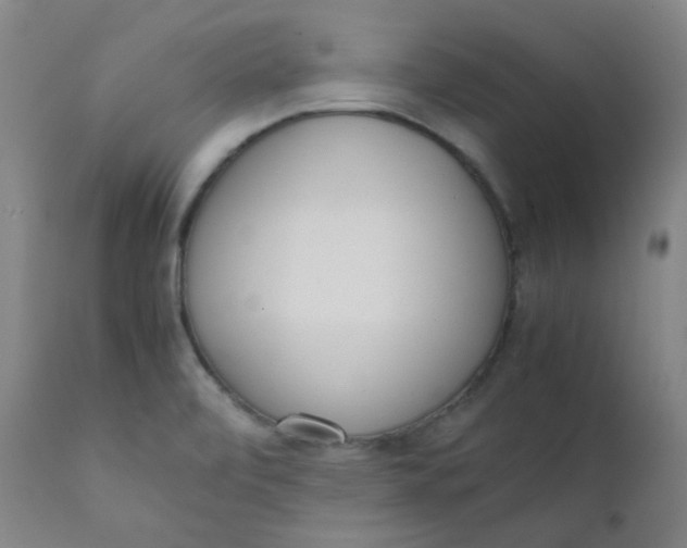 X0000111781472200908131337