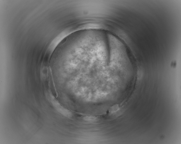 X0000111781473200908131337