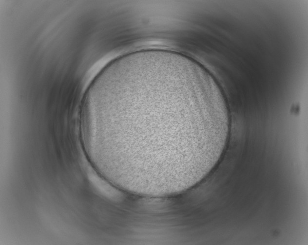 X0000111781474200908131337