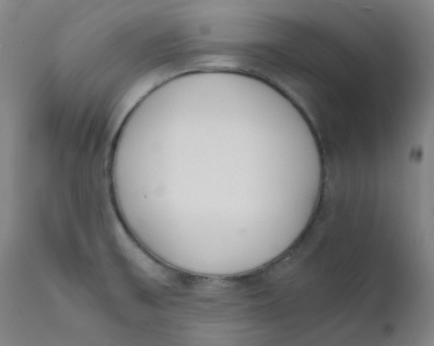X0000111781475200908131337