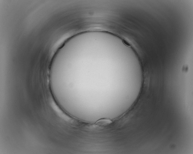 X0000111781476200908131337