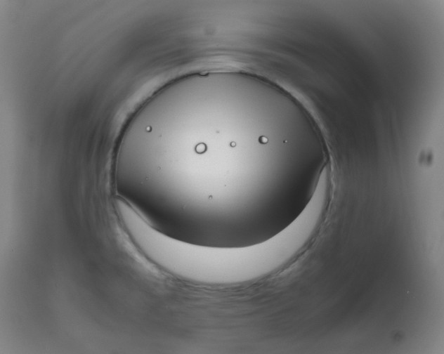 X0000111781477200908131337