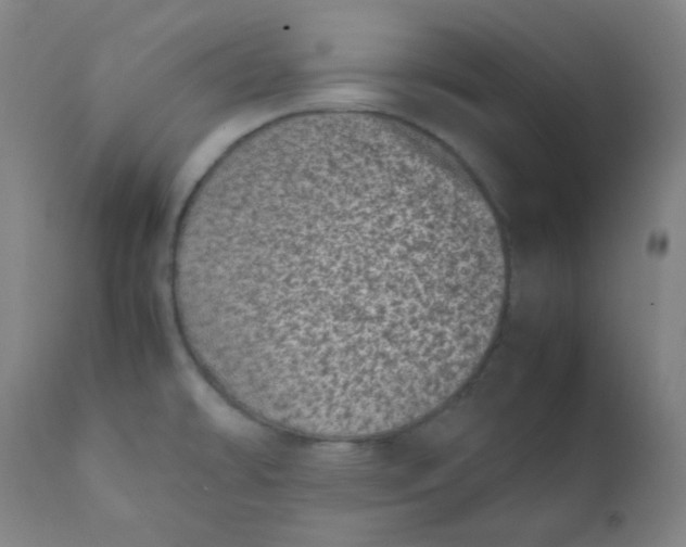 X0000111781478200908131337