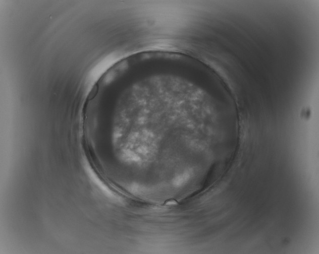 X0000111781479200908131337