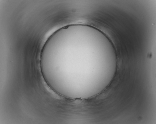 X0000111781480200908131337
