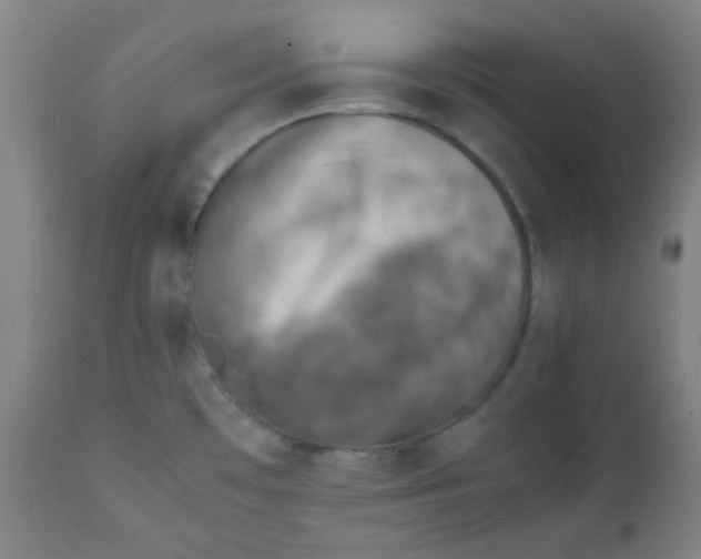 X0000111781481200908131337