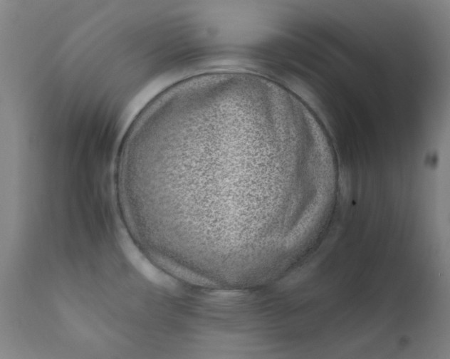 X0000111781482200908131337