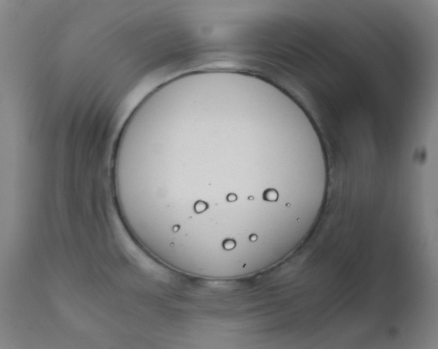 X0000111781483200908131337