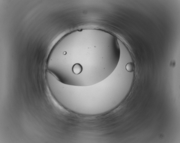 X0000111781484200908131337
