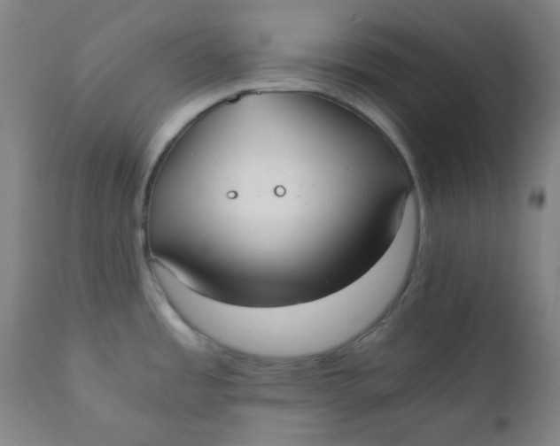 X0000111781485200908131337