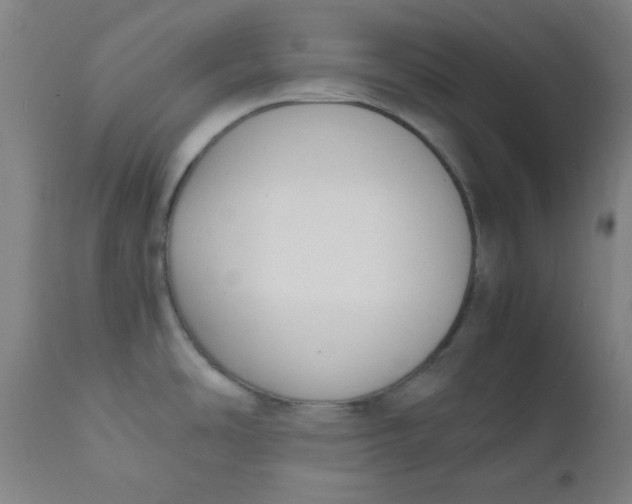 X0000111781486200908131337