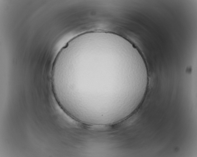 X0000111781487200908131337