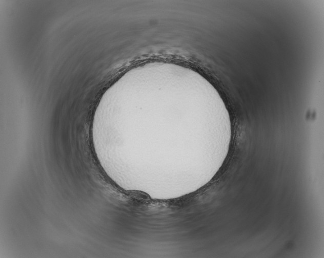 X0000111781489200908131336