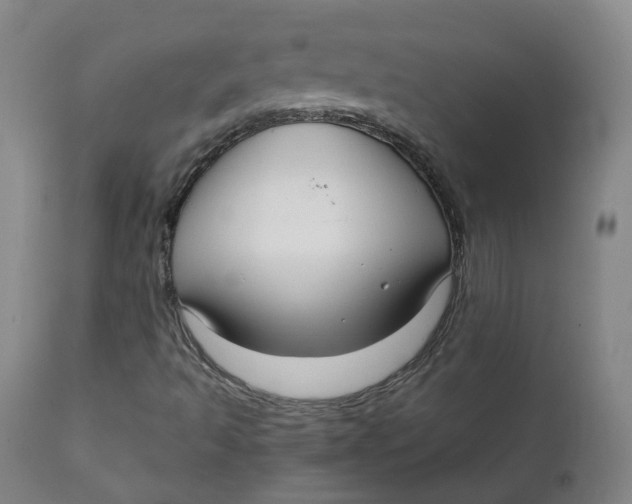 X0000111781493200908131336