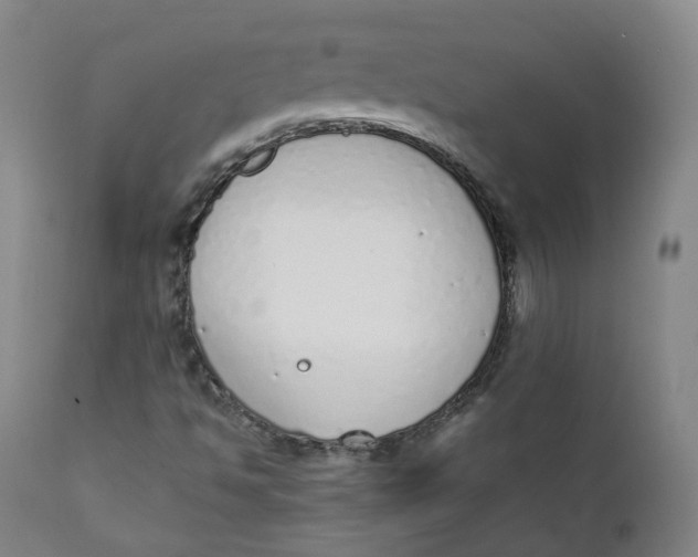 X0000111781494200908131336