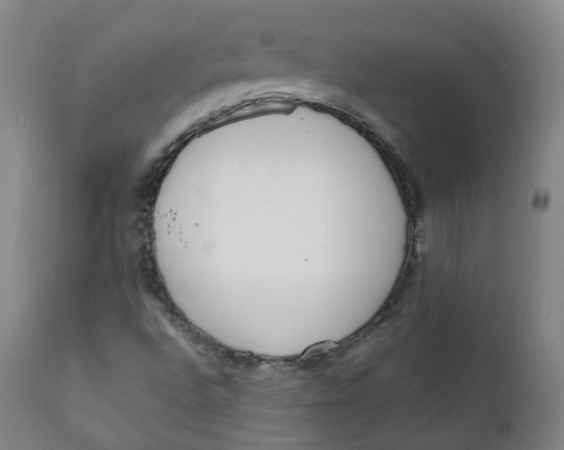 X0000111781496200908131336