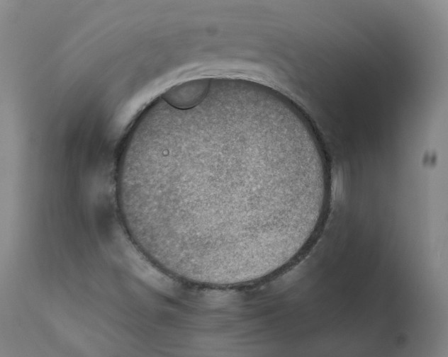 X0000111781498200908131336