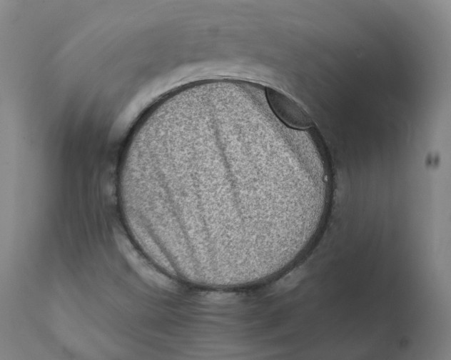 X0000111781499200908131336