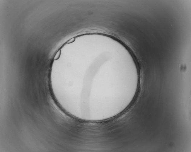 X0000111781500200908131336