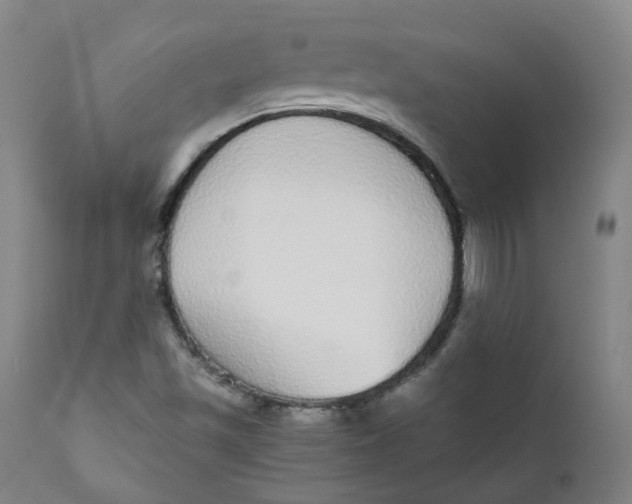 X0000111781501200908131336