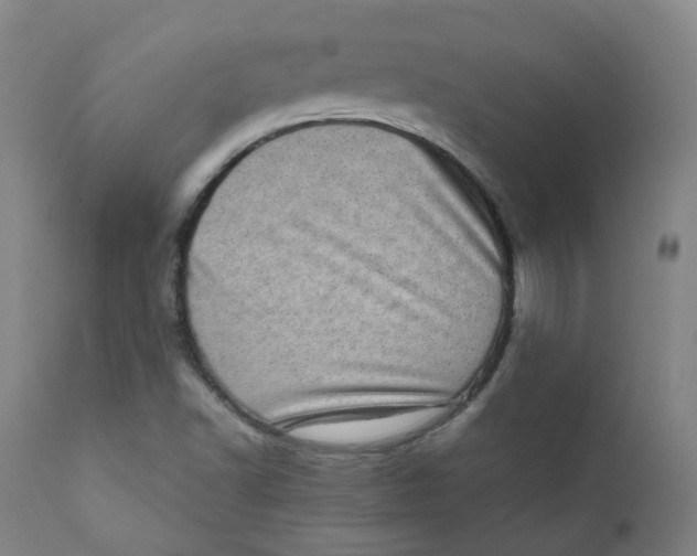 X0000111781502200908131336