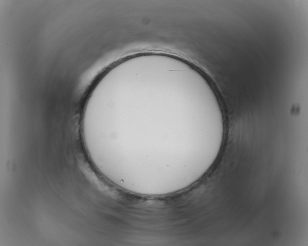X0000111781503200908131336