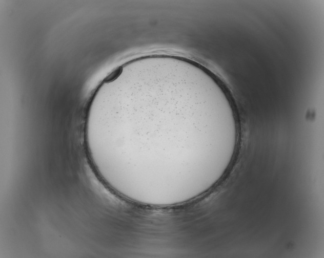 X0000111781504200908131336
