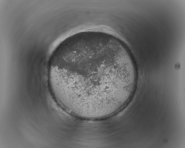 X0000111781506200908131336