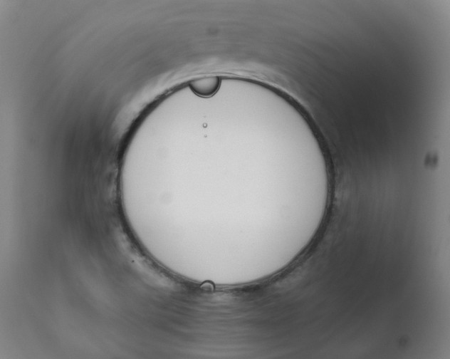 X0000111781507200908131336