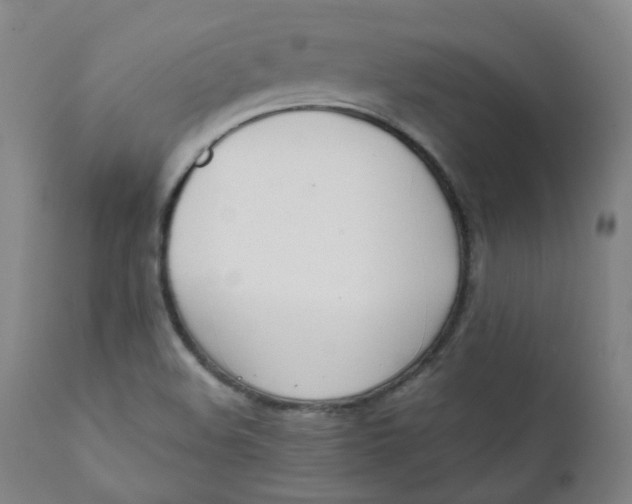 X0000111781508200908131336