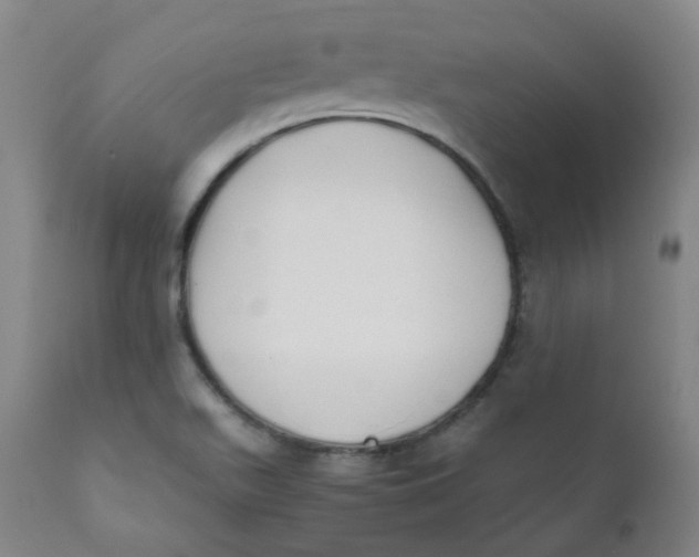 X0000111781511200908131336